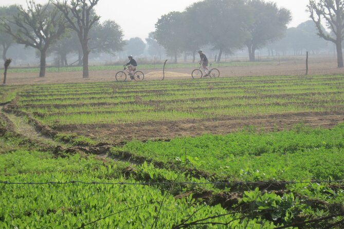 Jaipur Village Cycling Safari - Tips for a Great Experience