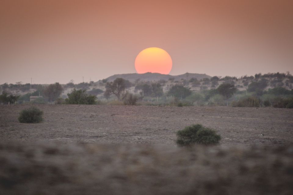 Jaisalmer: 2-Day Thar Desert Experience - Important Information