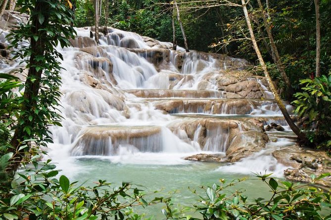 Jamaica Combo Tour: Dunns River Falls and Bob Marley's Nine Mile - Customer Feedback and Insights