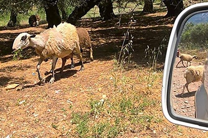 Jeep Safari 4x4 Crete Real off Road Mountain Tracks With Lunch From Hersonissos - Vegetarian Accommodations