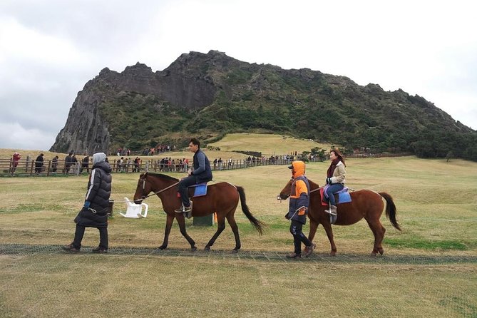 Jeju Island Private Taxi Tour : 2 Full Days - Pricing and Inclusions