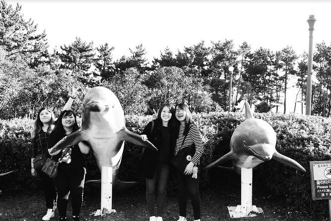 Jeju Island Taxi Tour : South Day Tour - Exclusions