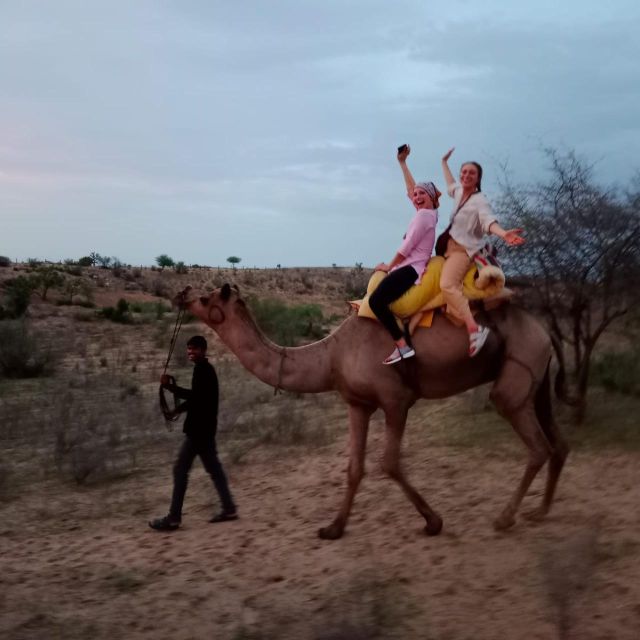 Jodhapur Camel Safari and Food - Highlights of Osian Temple