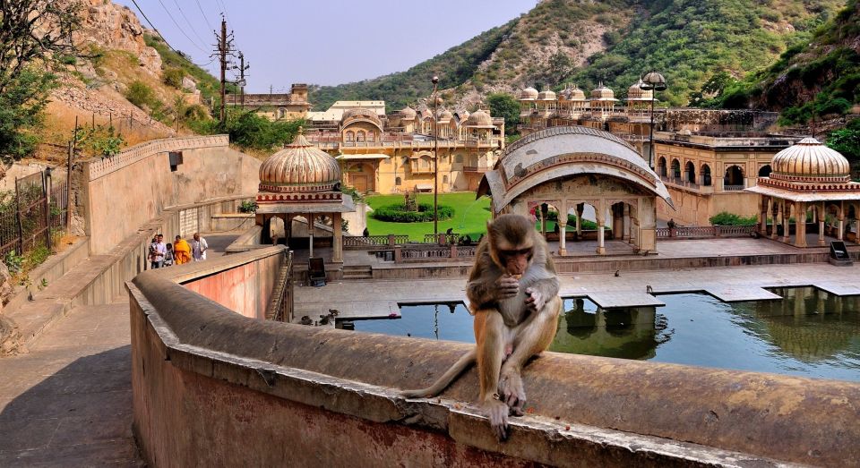 Jodhpur: Blue City Walking Tour - Important Information