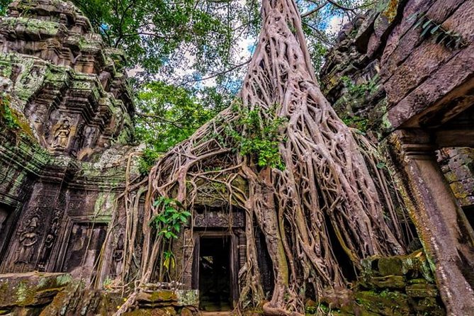 Join Tours Angkor Wat & Small Groups Full Day - Transportation Details