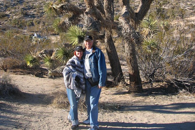 Joshua Tree National Park Air-Conditioned Tour - Cancellation Policy Explained