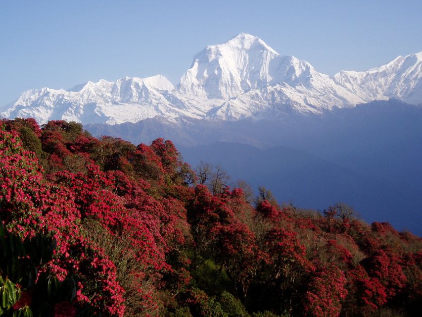 Journey to Himalayan Splendor: Annapurna Base Camp Trek - Cultural Encounters