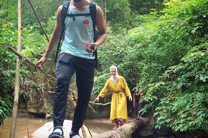 Jungle Wisdom Survival Trek - Identifying Edible Plants