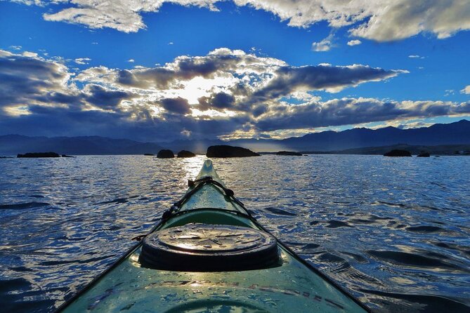 Kaikoura Day Tour With Kayak Experience From Christchurch - Inclusions and Amenities