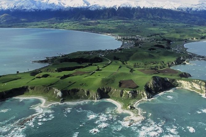 Kaikoura Swim With Dolphins Tour From Christchurch - Travel Tips for the Tour