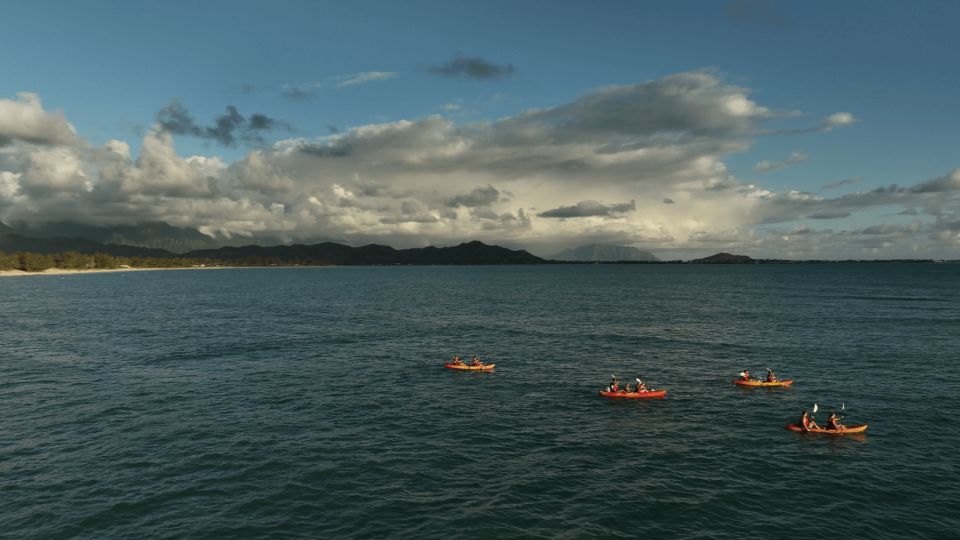 Kailua: Mokulua Islands Kayak Tour With Lunch and Shave Ice - Encountering Local Wildlife