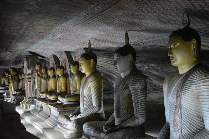 Kandy Sigiriya Day Trip With Private Transportation - Reviews and Ratings