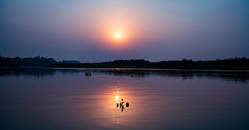 Kathmandu: 3-Day Wildlife, Culture and Jungle Safari Tour - Day 2 Adventures