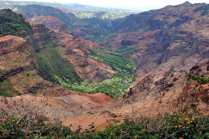 Kauai Waimea Canyon and Kokee Tour With Lunch - Tour Experience and Feedback