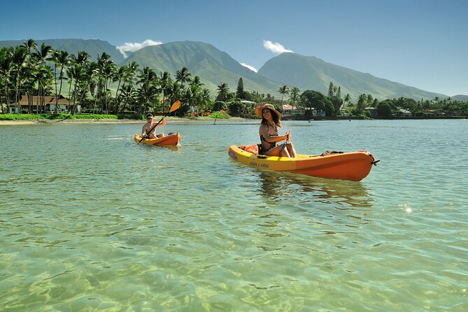 Kayak and Snorkel: Maui West Shore - Family-Friendly Experience