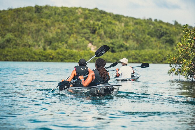 Kayak Eco Adventures Glass Kayak Nature and Snorkeling Tour - Traveler Experiences and Reviews