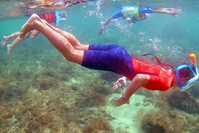 Kayak Excursion in Playa De Aro - Accessibility Features