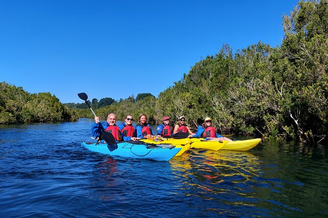 Kayak Through the Sunken Forest of the Maullín River - What to Bring