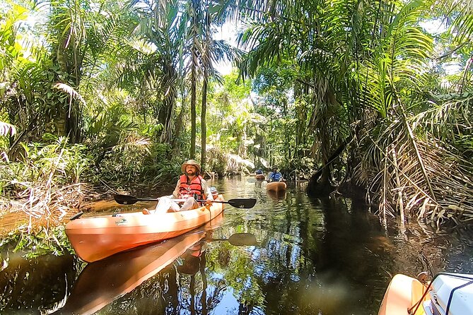 Kayak Tour - Tips for Your Kayak Tour