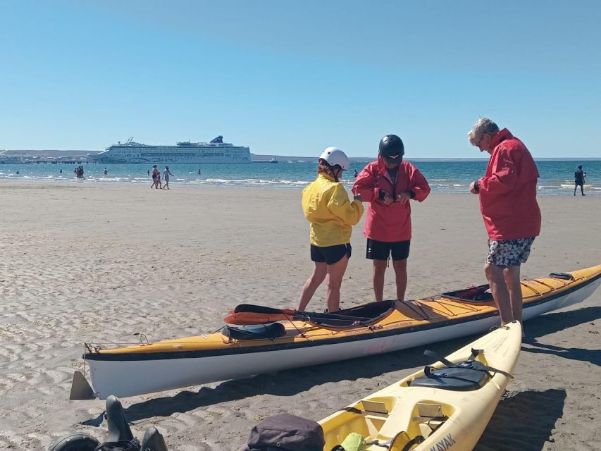 Kayaking Adventure in Puerto Madryn - Safety Guidelines