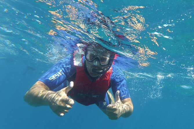 Kayaking + Snorkeling With Turtles - Cancellation and Refund Policy