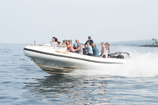 Kealakekua Bay Captain Cook Snorkel Exclusive - Snorkeling Experience and Marine Life