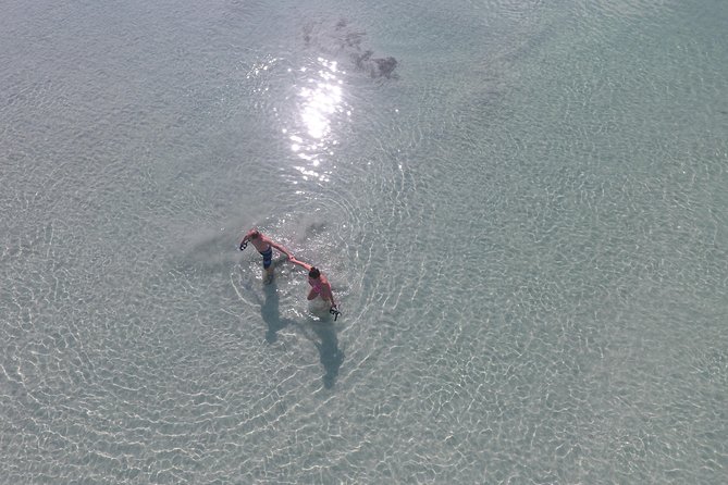 Key West Safari Eco Sandbar Tour Adventure With Snorkeling - Customer Reviews and Ratings