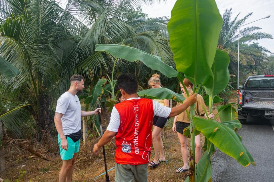 Khao Lak: All-Day Elephant Sanctuary Experience Small Groups - Inclusions and Amenities