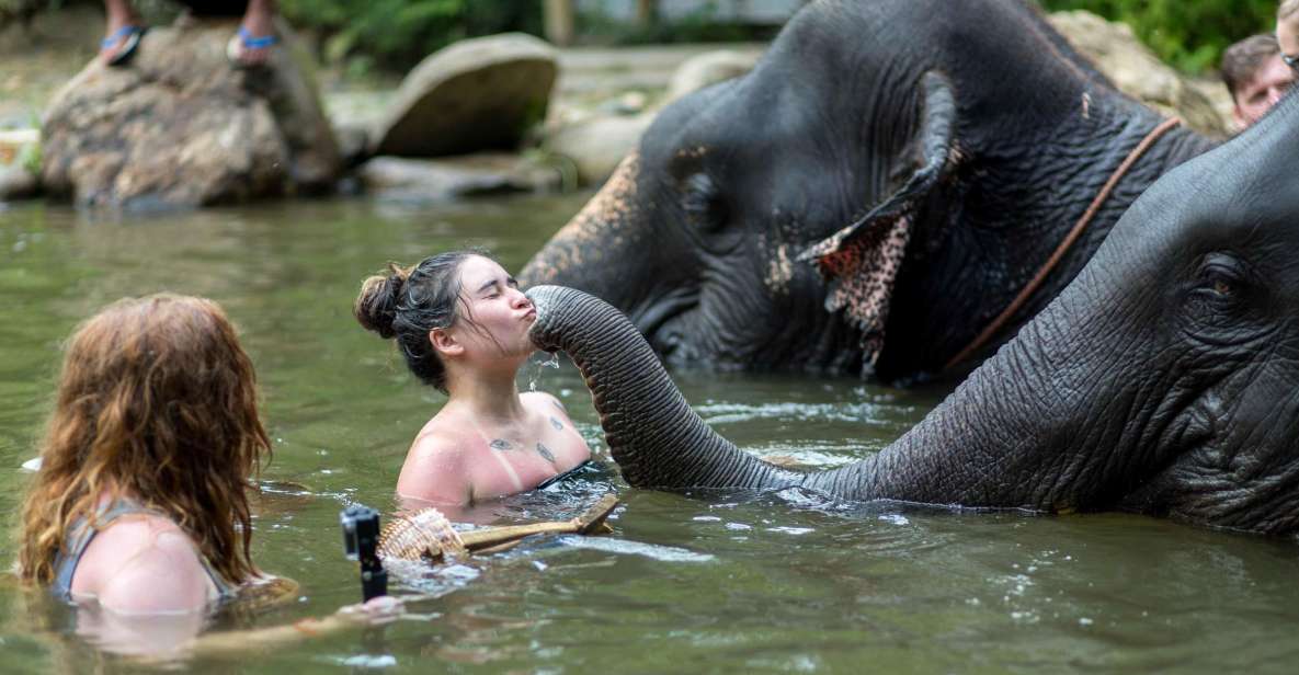 Khao Lak: Elephant Care Experience - Daily Routines