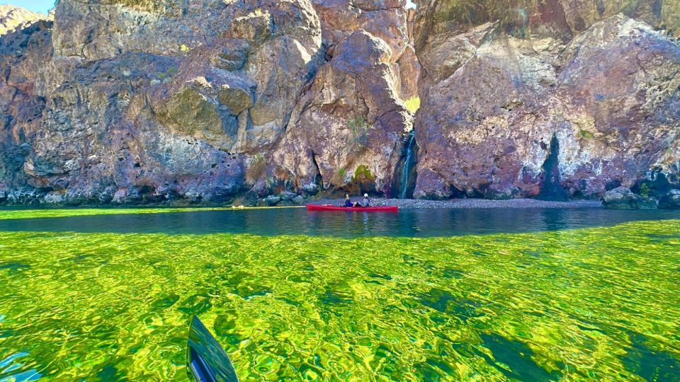 Kingman: Emerald Cave Guided Kayaking Tour - Seeing Rainbow Trout