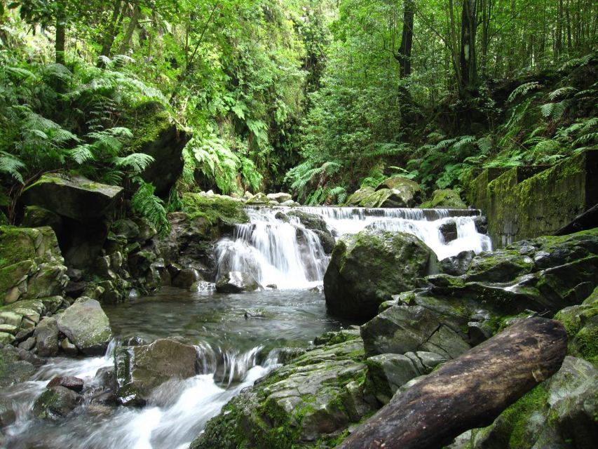 Kings Levada (Ribeiro Bonito) - Location and Accessibility