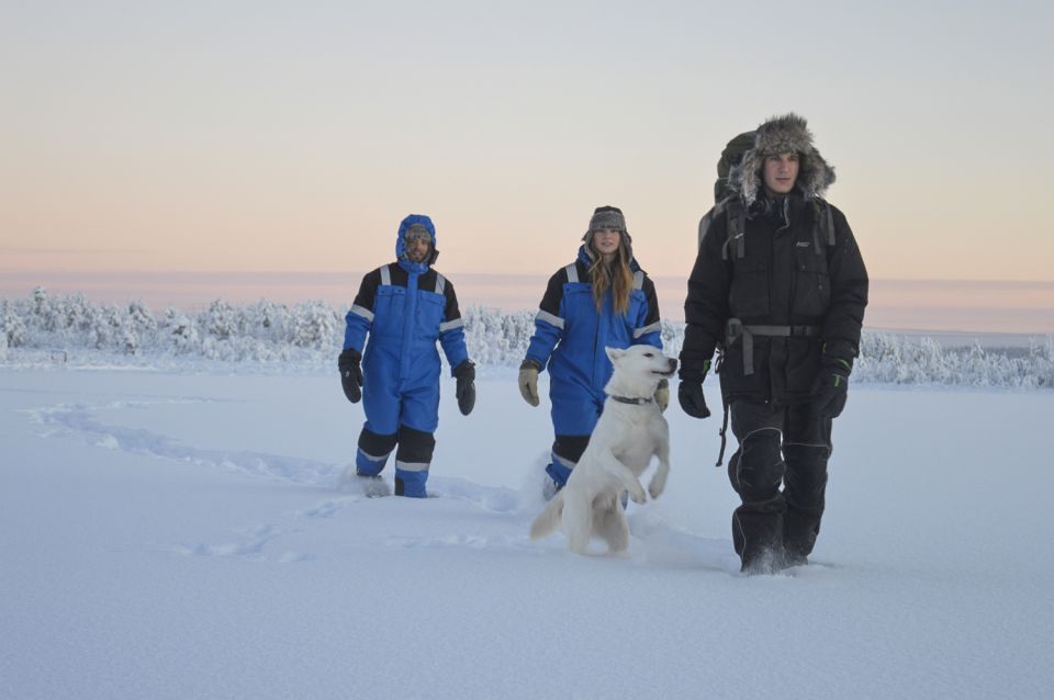 Kiruna: Snowshoe Hike & Ice Fishing Tour - What to Expect