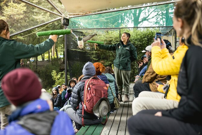 Kiwi Park Queenstown Admission - Visitor Information