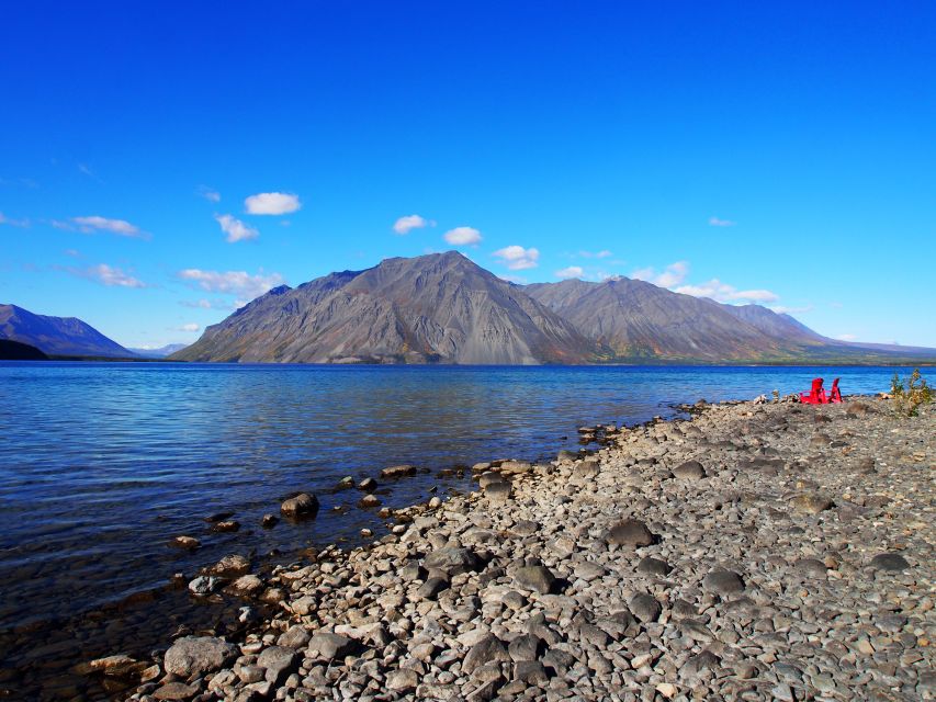 Kluane National Park: Full Day Tour - Itinerary and Highlights