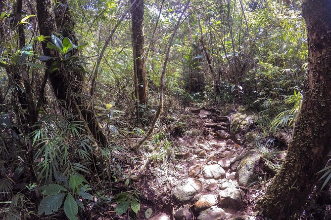 Knuckles Leopard Trail Trek From Kandy - Physical Fitness Requirements