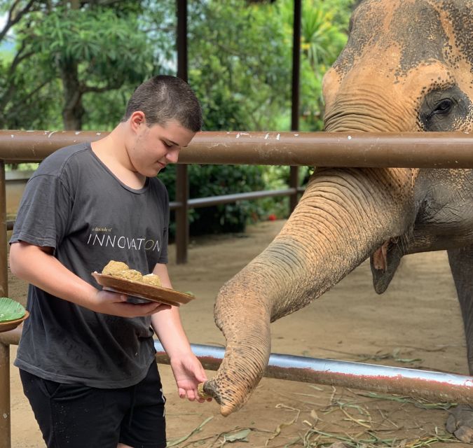 Koh Samui: Elephant Sanctuary and Jungle Tour With Lunch - Interacting With Elephants at the Sanctuary