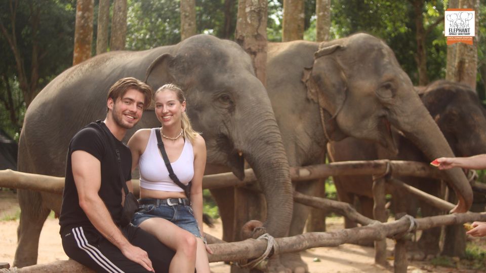 Koh Samui: Elephant Sanctuary Entry and Feeding Experience - Memorable Moments