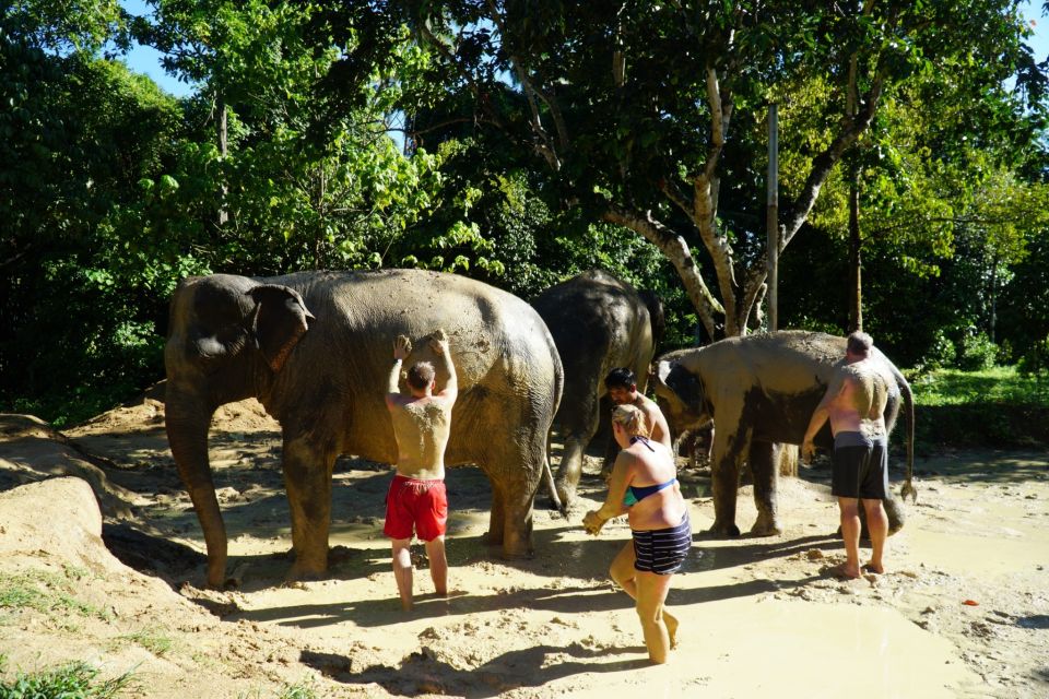 Koh Samui: Half-Day Ethical Elephant Sanctuary With Mud Spa - Mud Bath Adventure