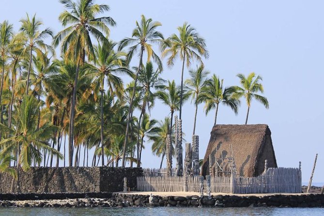 Kona Tour: Coffee Plantation, Kealakekua Bay, Kaloko-Honokohau Park, and Bee Farm - Big Island Bees Experience