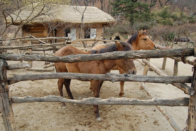 Korean Folk Village Afternoon Tour From Seoul - Reviews and Feedback