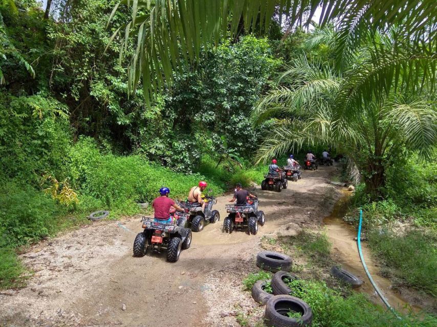 Krabi: Elephant Bathing & ATV Adventure Combo - Feeding and Caring for Elephants