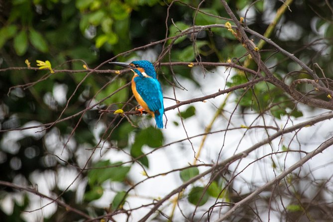 Kumana National Park Full Day Safari - Afternoon Safari Continuation