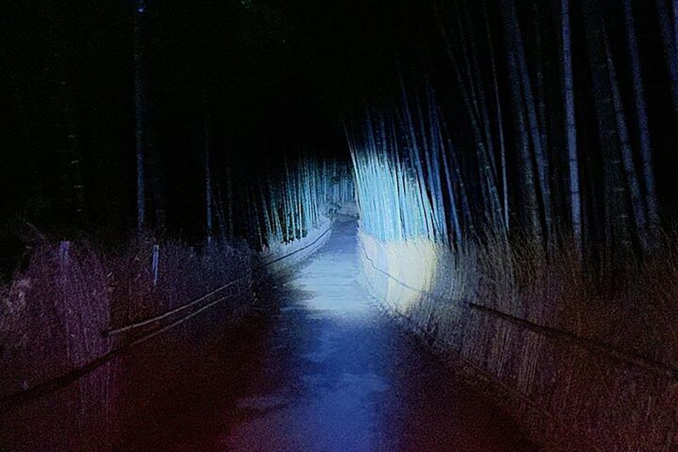 Kyoto Ghost Tour: Ghosts, Mysteries & Bamboo Forest at Night - Bone-Chilling Stories