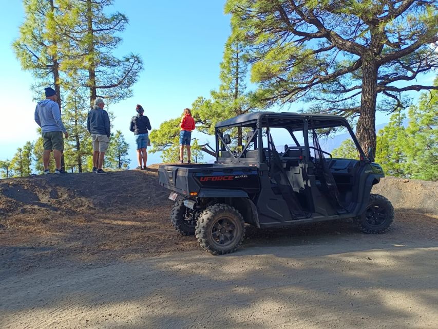 La Palma: Volcano Route Buggy Tour - Tour Requirements