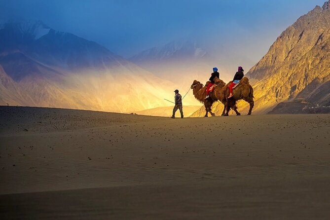 Ladakh Private Tours - Important Considerations