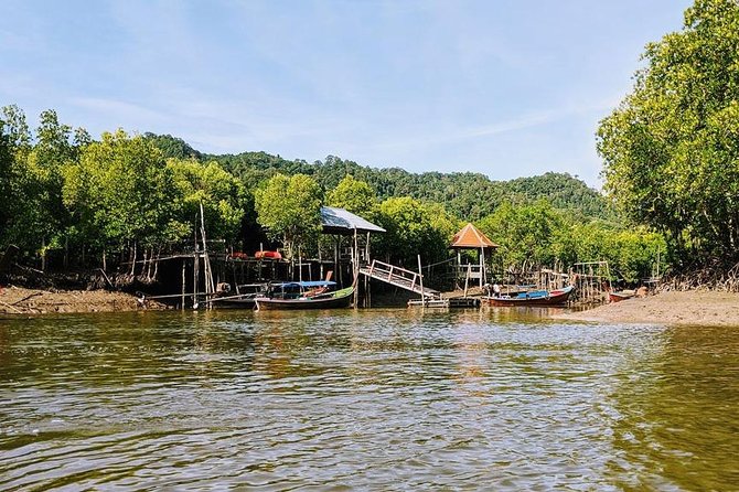 Lanta Old Town and Mangrove Forest Sightseeing Tour - Health and Safety Considerations