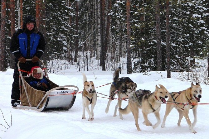 Lapland Husky Safari From Saariselkä - Restrictions and Recommendations