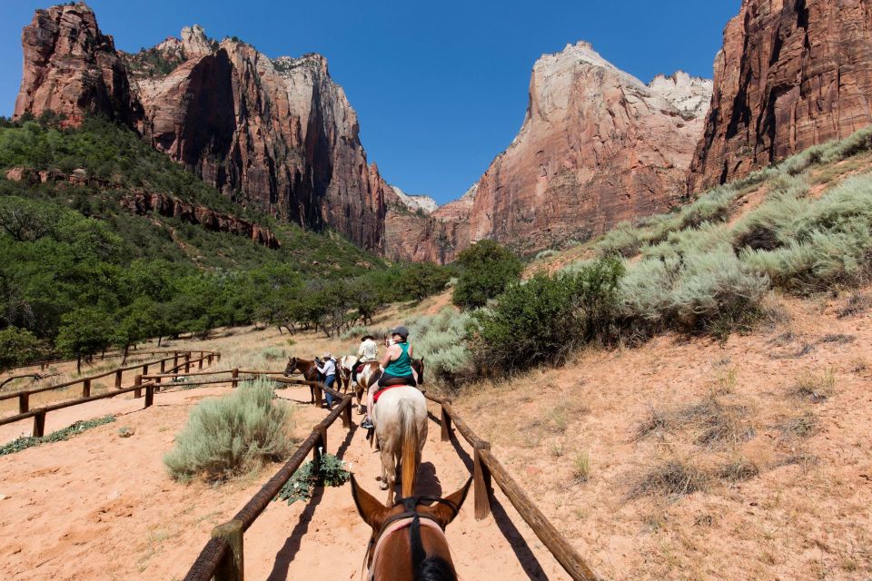 Las Vegas: Valley of Fire and Zion National Park 1-Day Tour - Transportation and Accessibility