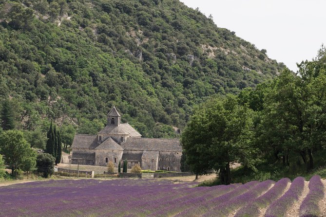 Lavender in Luberon Small Group Half-Day Trip - Mixed Reviews
