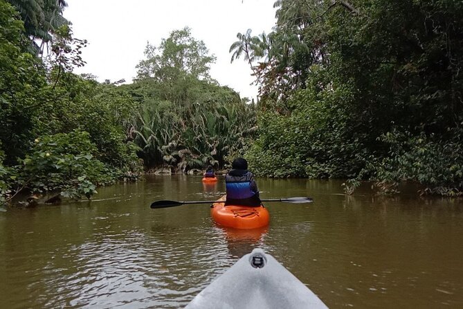 Lebam River Kayaking Adventure - Booking Process